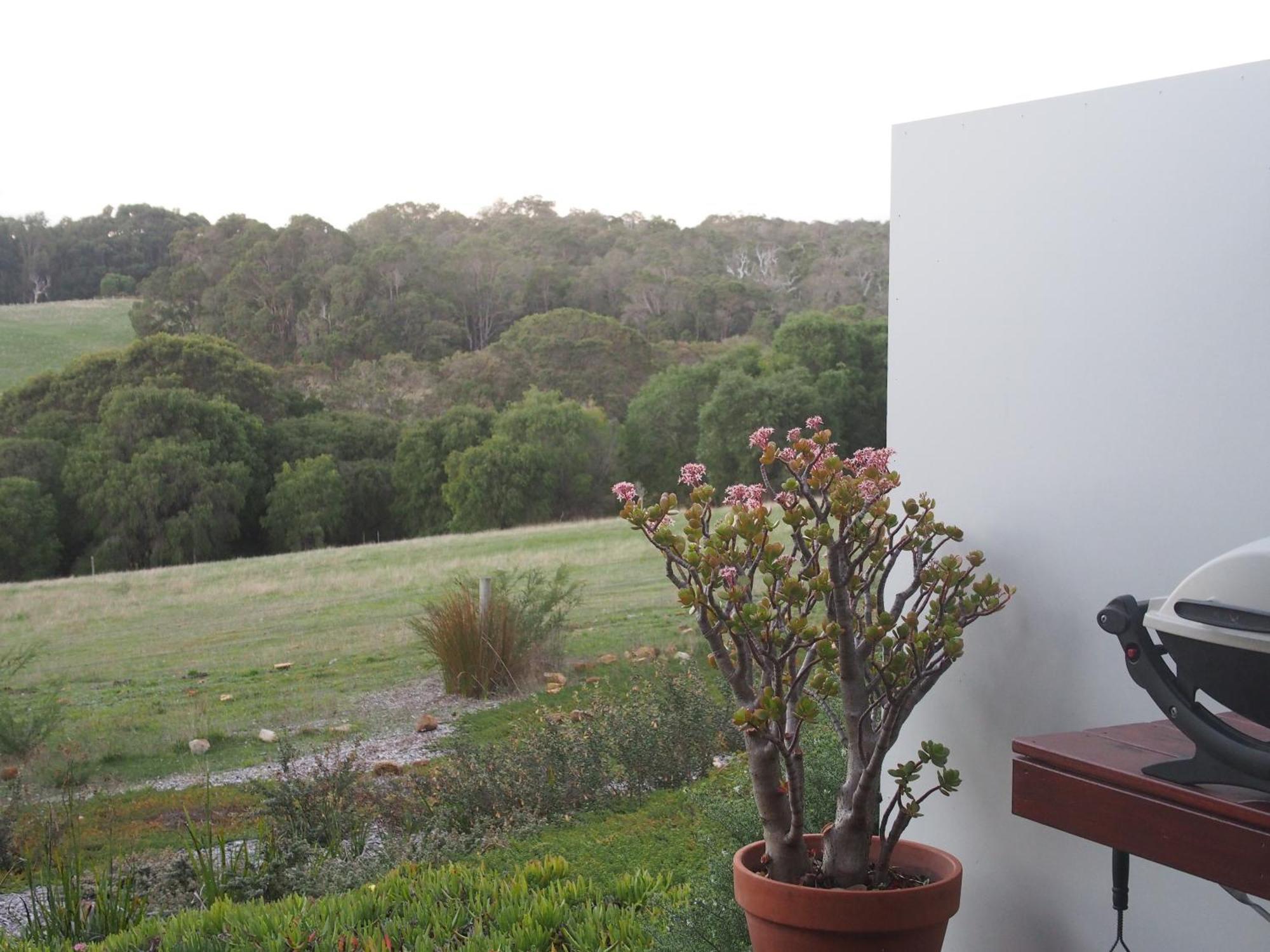 Hilltop Studios Margaret River Kültér fotó