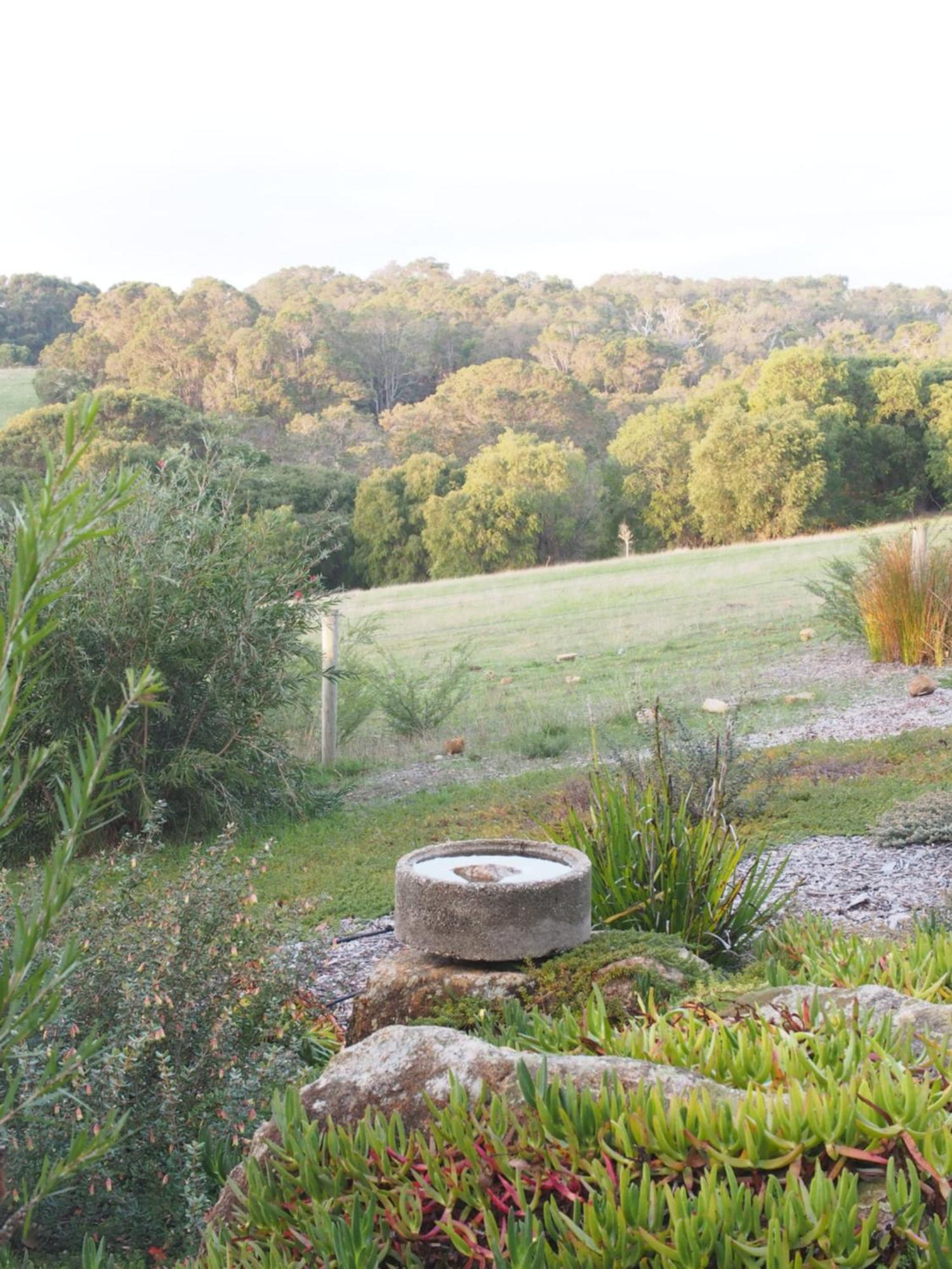 Hilltop Studios Margaret River Kültér fotó