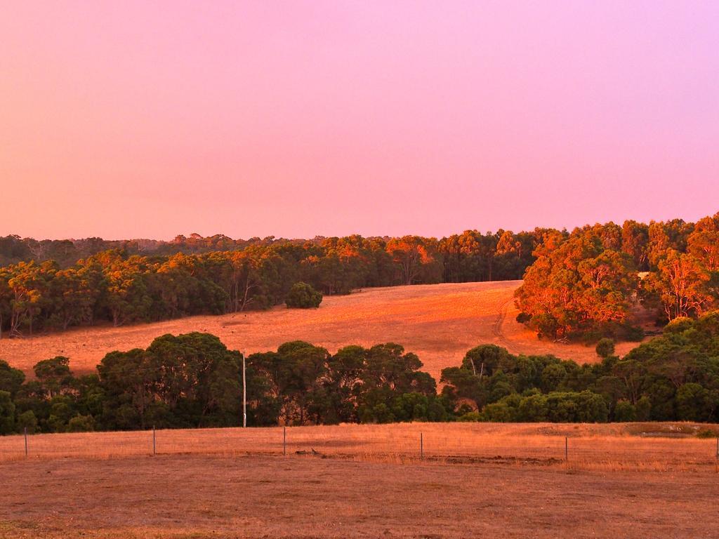 Hilltop Studios Margaret River Kültér fotó